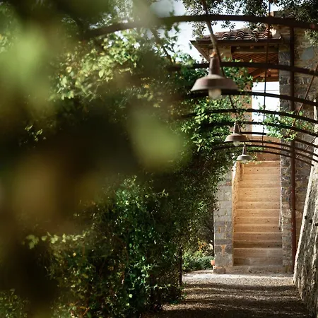 Tenuta Castelgiocondo *